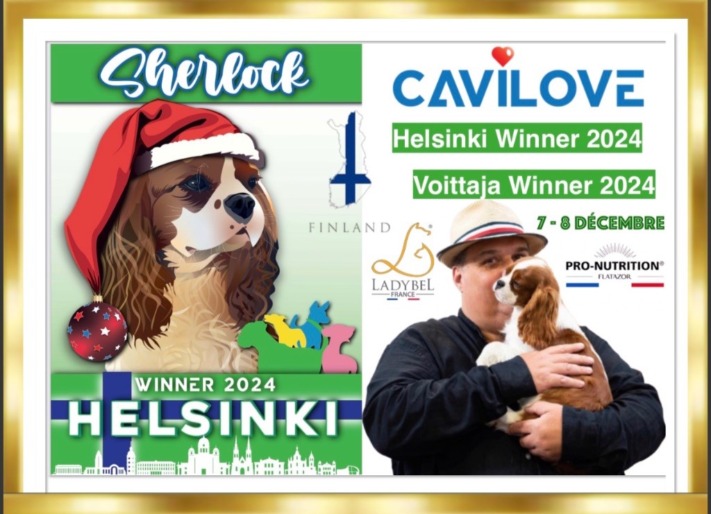 Cavilove - Sherlock en Finlande for the Helsinki Winner 2024