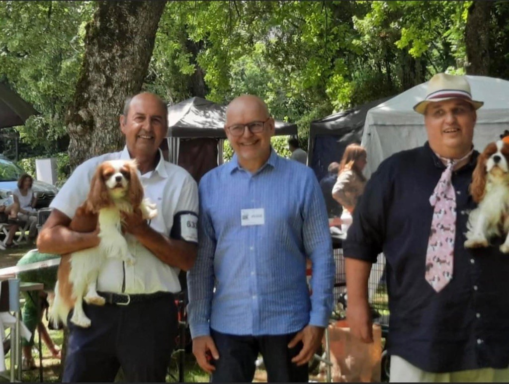 Cavilove - Sherlock Meilleur mâle CKC -BOS à Cahors spéciale de Race 