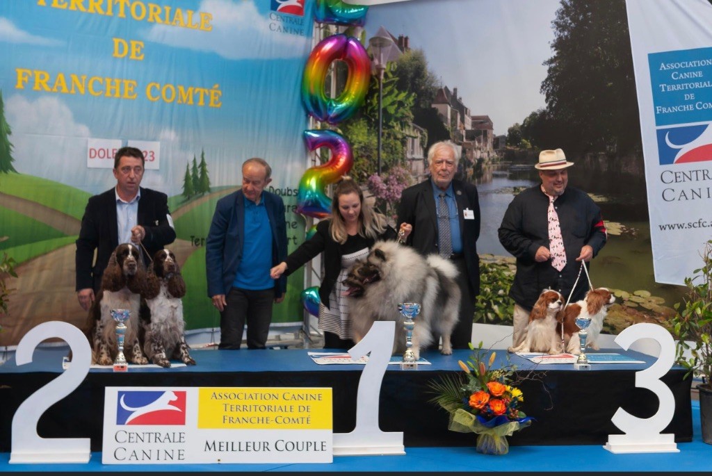 Cavilove - DOLEXPO Exposition Canine internationale de Dole 14 mai 2023