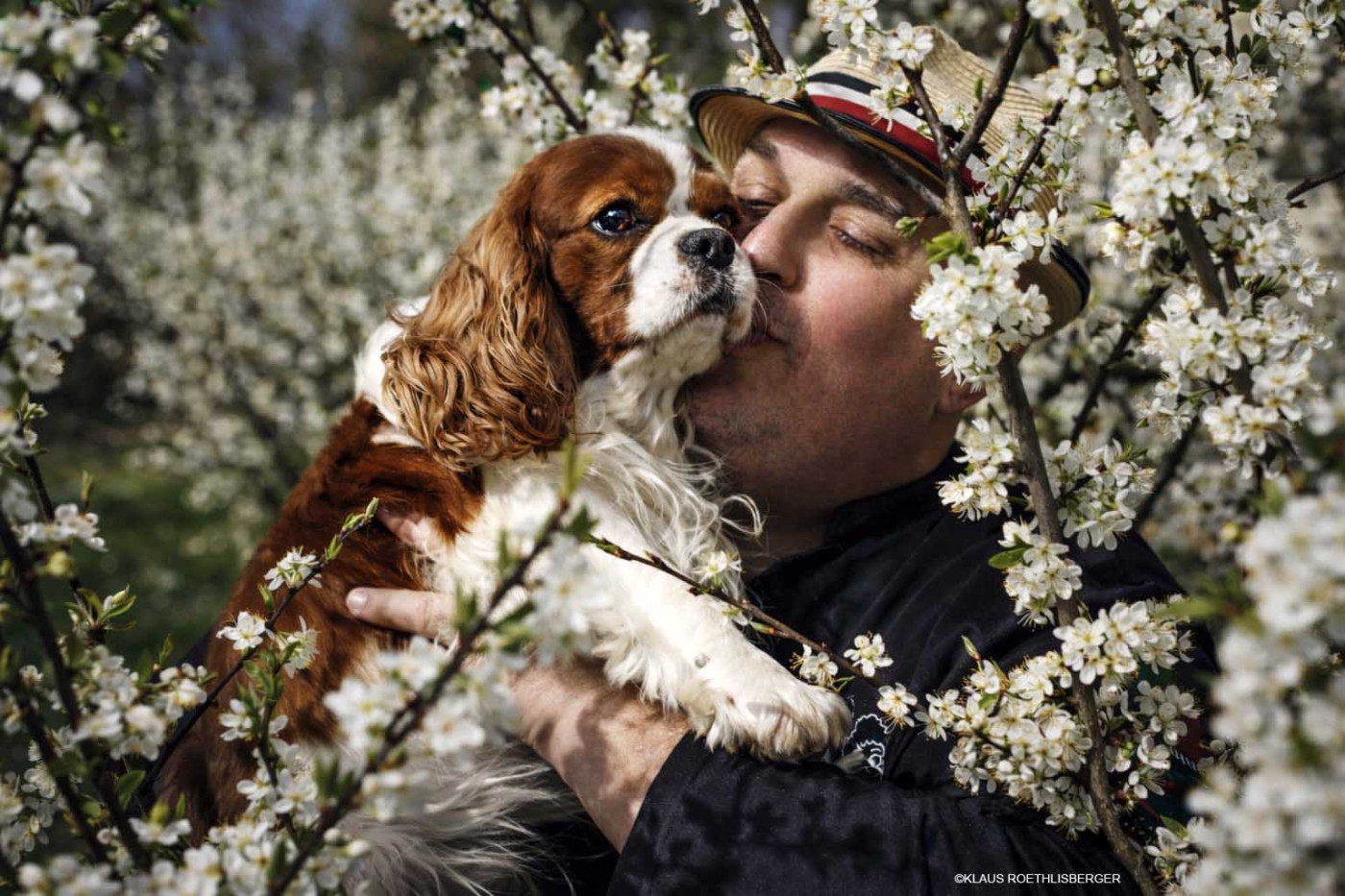 Le Printemps chez Cavilove