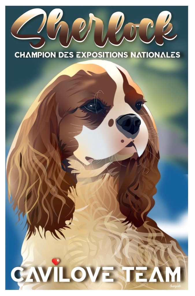 Cavilove - Sherlock Champion des Expositions Nationales